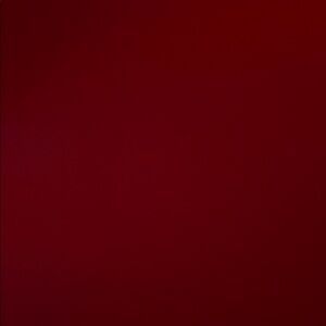 Skip Hop Shower Head